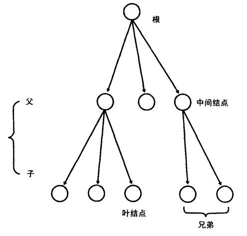 数据结构：树的概念及基本术语