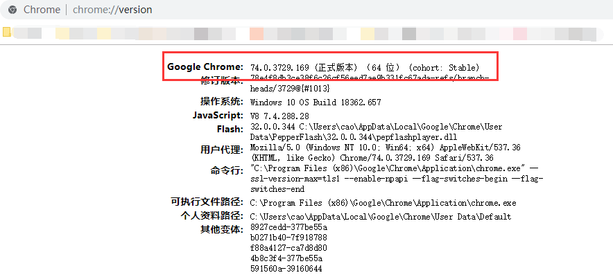This version of ChromeDriver only supports Chrome version 81
